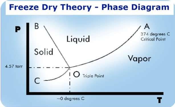 Recuperar libros y documentos dañados