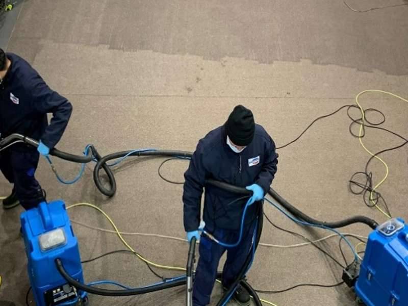 MOQUETAS-2 Limpieza y descontaminación de alfombras y moquetas