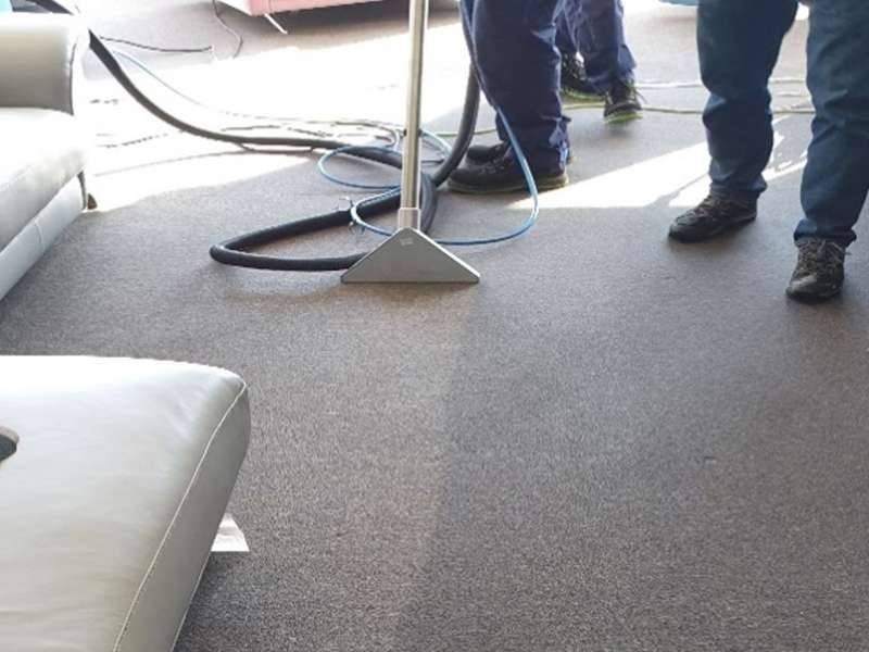 MOQUETAS Limpieza profesional y descontaminación de alfombras y moquetas