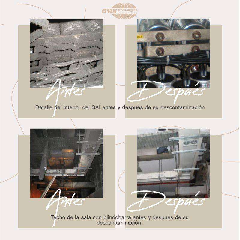 Recuperación después de un incendio en verano